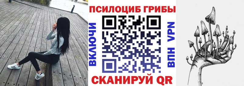 как найти наркотики  Любим  кракен как войти  Псилоцибиновые грибы мицелий 