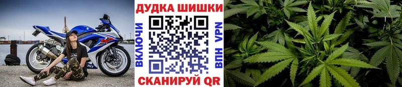 Бошки Шишки семена  Любим 